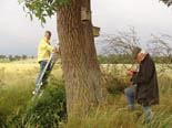 Checking nest boxes